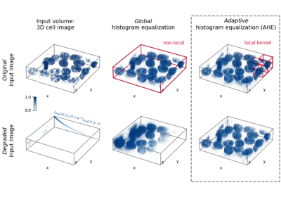 3D adaptive histogram equalization