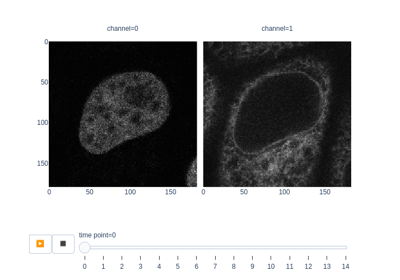 Measure fluorescence intensity at the nuclear envelope