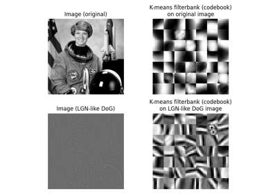 Gabors / Primary Visual Cortex "Simple Cells" from an Image