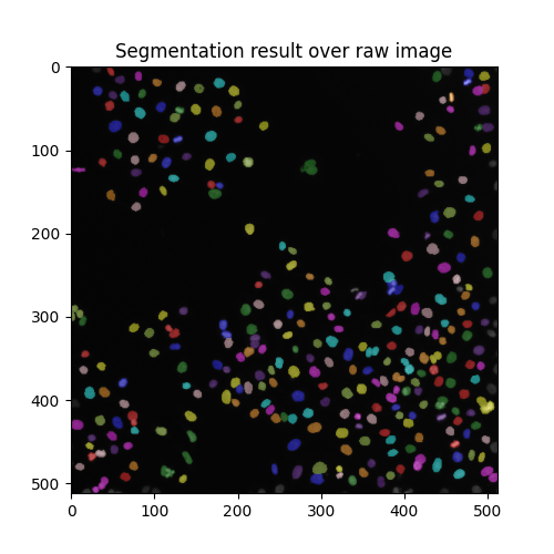 Segmentation result over raw image