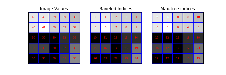 Image Values, Raveled Indices, Max-tree indices