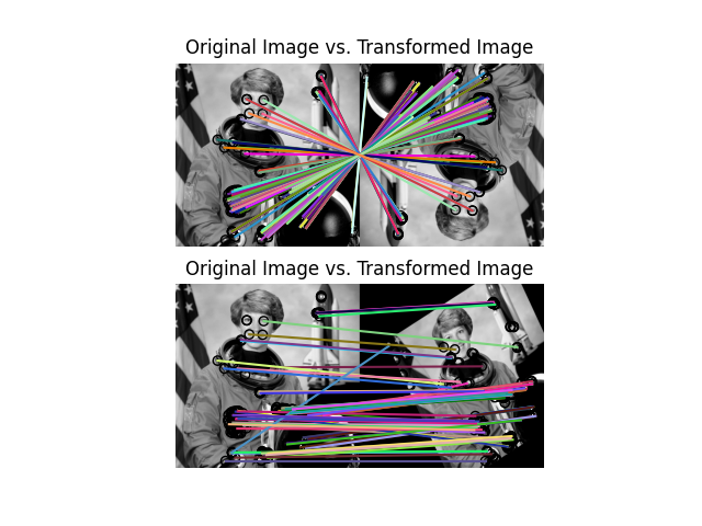 Original Image vs. Transformed Image, Original Image vs. Transformed Image