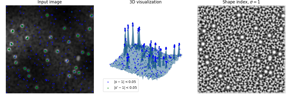 Input image, 3D visualization, Shape index, $\sigma=1$