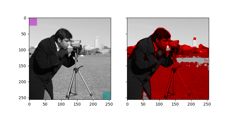 plot tinting grayscale images