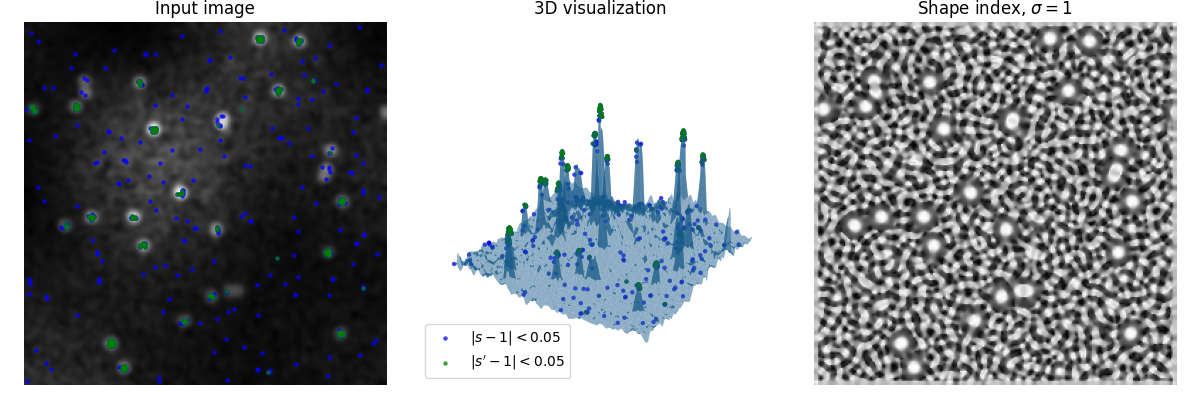 Input image, 3D visualization, Shape index, $\sigma=1$