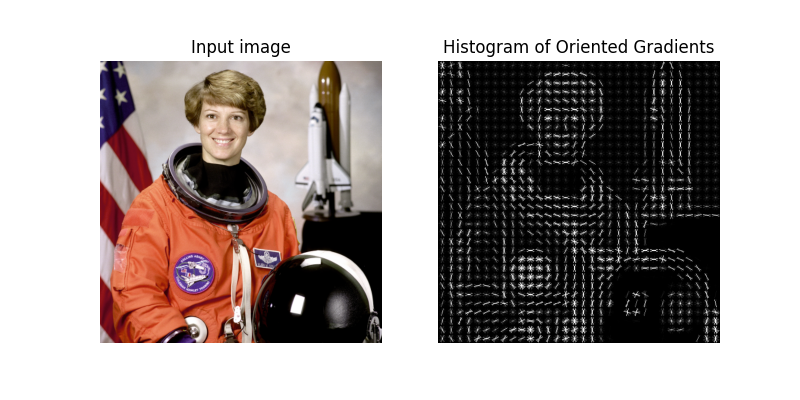 Input image, Histogram of Oriented Gradients