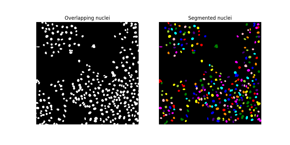 Overlapping nuclei, Segmented nuclei