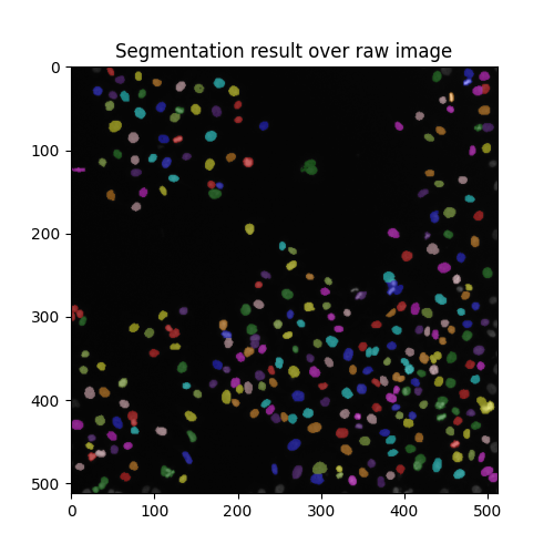 Segmentation result over raw image