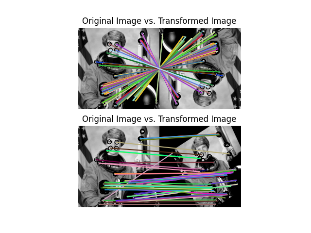 Original Image vs. Transformed Image, Original Image vs. Transformed Image