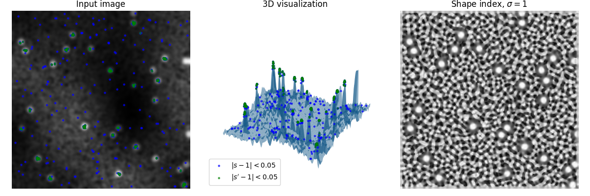 Input image, 3D visualization, Shape index, $\sigma=1$