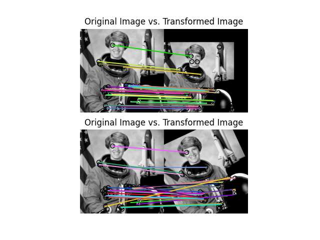 Original Image vs. Transformed Image, Original Image vs. Transformed Image