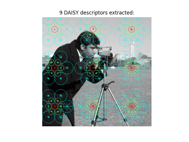 9 DAISY descriptors extracted: