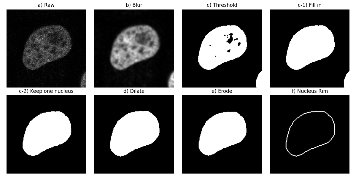 a) Raw, b) Blur, c) Threshold, c-1) Fill in, c-2) Keep one nucleus, d) Dilate, e) Erode, f) Nucleus Rim