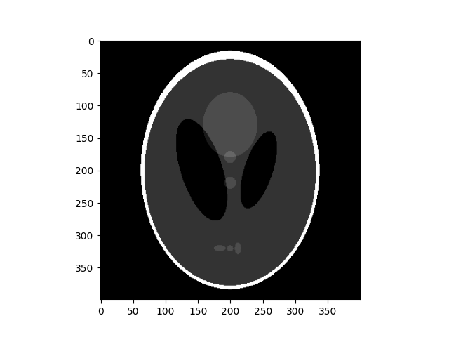 plot morphology