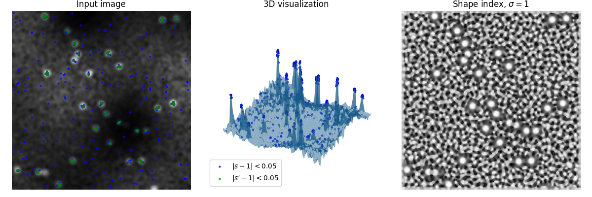 Input image, 3D visualization, Shape index, $\sigma=1$