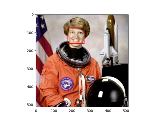 plot face detection