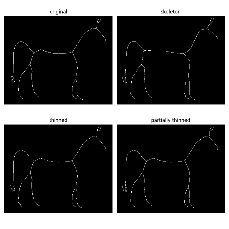 original, skeleton, thinned, partially thinned