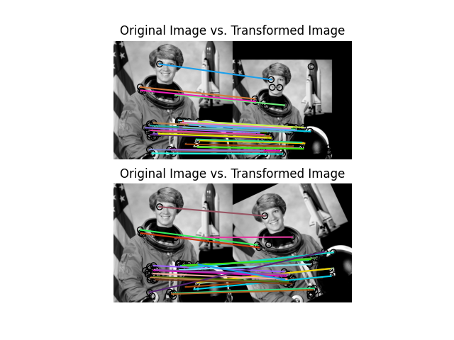 Original Image vs. Transformed Image, Original Image vs. Transformed Image