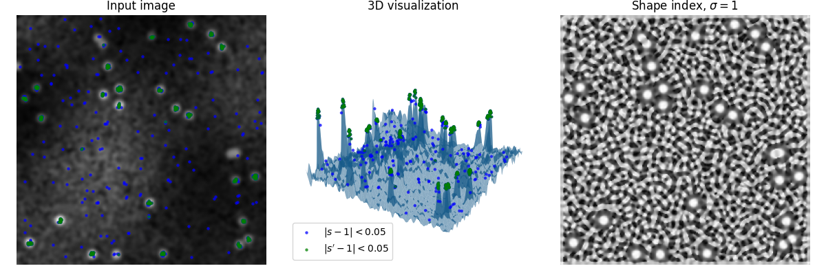 Input image, 3D visualization, Shape index, $\sigma=1$