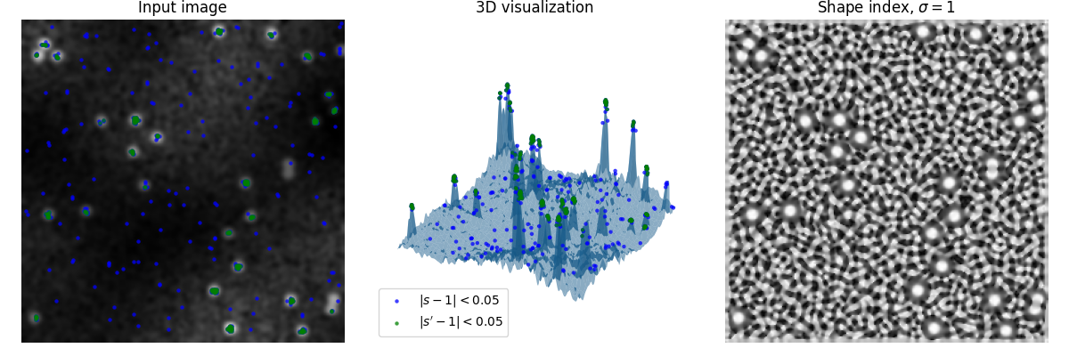 Input image, 3D visualization, Shape index, $\sigma=1$