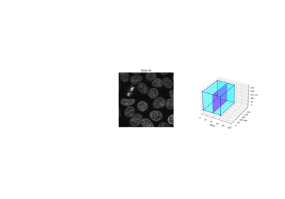 Explore 3D images (of cells)