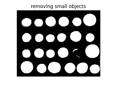 removing small objects