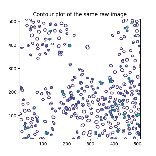 Contour plot of the same raw image