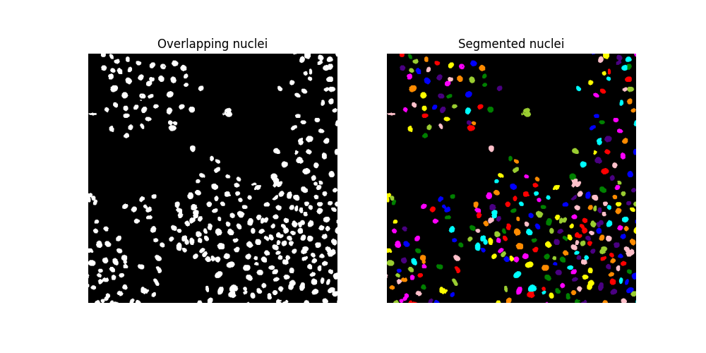 Overlapping nuclei, Segmented nuclei