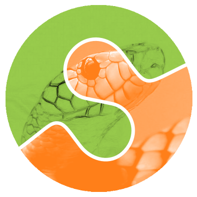 scikit-image's logo, showing a snake's head overlayed with green and orange