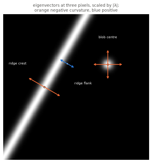 <Figure size 572x572 with 1 Axes>